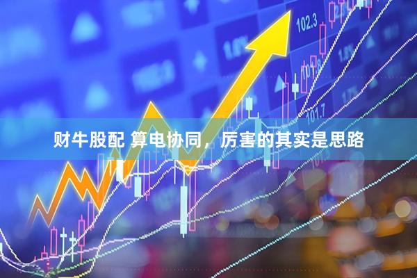 财牛股配 算电协同，厉害的其实是思路