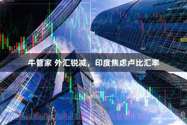 牛管家 外汇锐减，印度焦虑卢比汇率